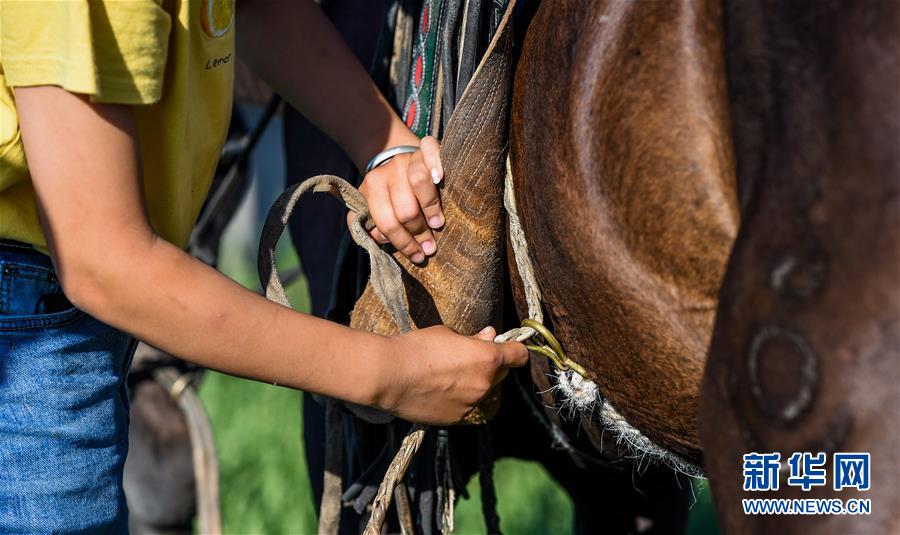 （特別的暑期生活&middot;圖片故事）（7）草原女孩錫林花的暑期&ldquo;歡樂時(shí)光&rdquo;